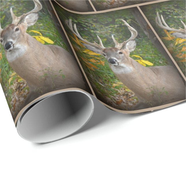 Big Buck Deer Wrapping Paper (Roll Corner)