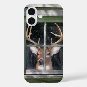 big buck in rustic window iPhone 16 case
