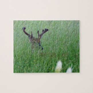 Big Buck In Tall Grass Jigsaw Puzzle