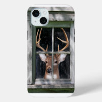 Big Buck in window