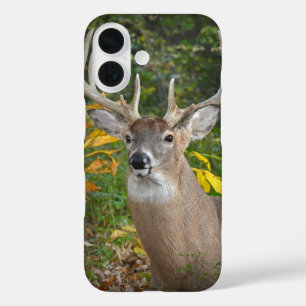 Big Buck In Woods iPhone 16 Case