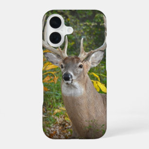 Big Buck In Woods iPhone 16 Case