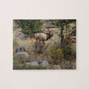 Big Bull Elk - Puzzle