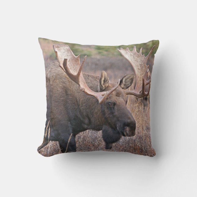 Big Bull Moose Cushion (Front)