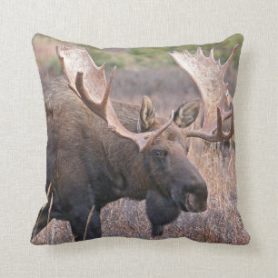 Big Bull Moose Cushion