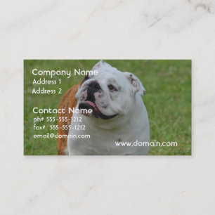 Big Bulldog Business Card