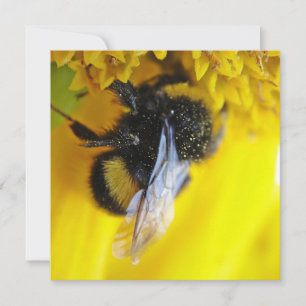 Big bumblebee invitation