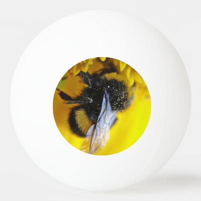 Big bumblebee ping pong ball (Front)