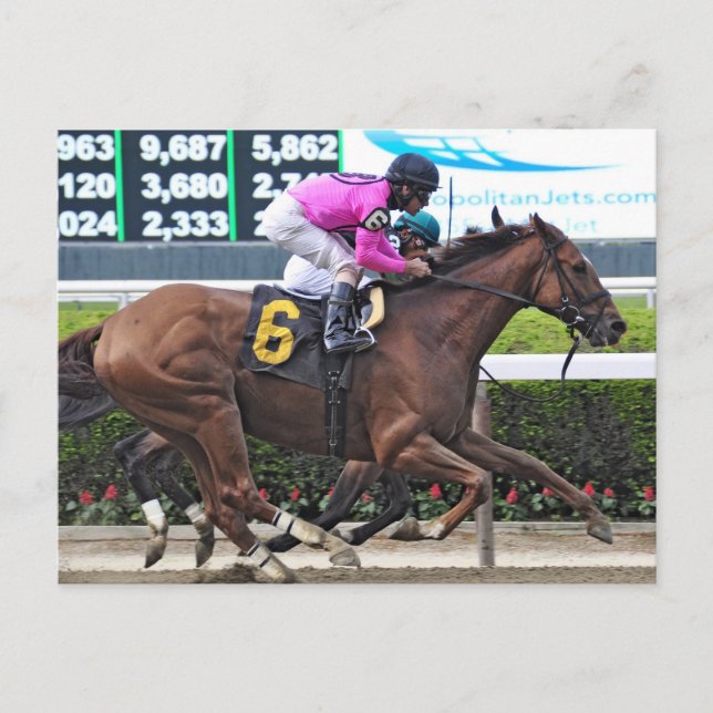 Big Business- One Rein Postcard (Front)