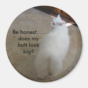 Big butt?-No tail cat Magnet