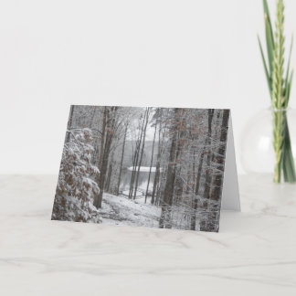 Big Canoe, Georgia Holiday Card