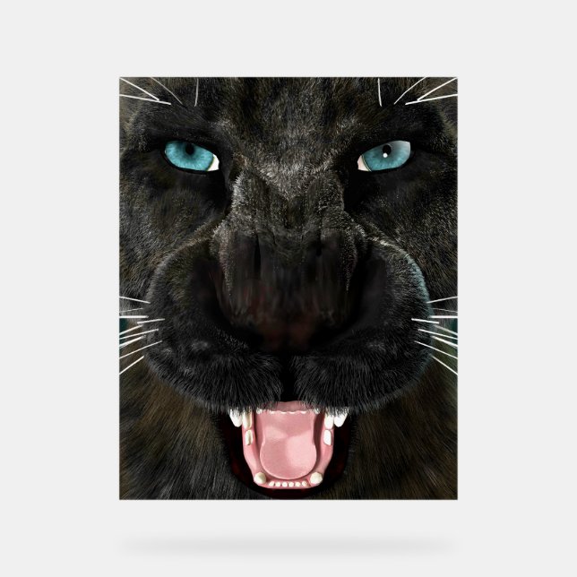 Big Cat Black Panther Acrylic Sign (Front)