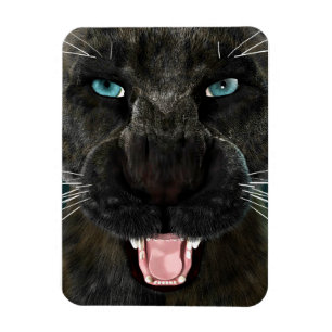 Big Cat Black Panther Magnet