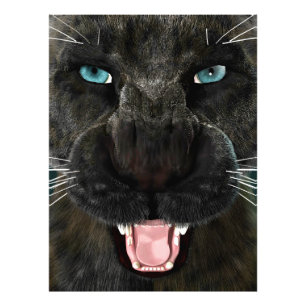 Big Cat Black Panther Photo Print