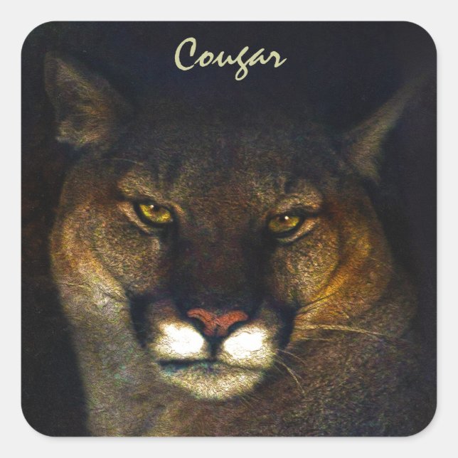 Big Cat Cougar Mountain Lion Art Design Square Sticker (Front)