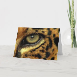 BIG CAT Endangered Species Series Holiday Card