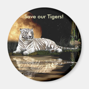 BIG CAT Endangered Species Series Magnet
