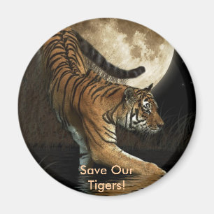 BIG CAT Endangered Species Series Magnet
