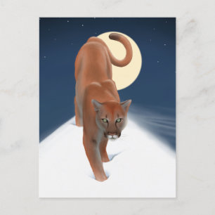 Big Cat In The Winter Snow - Mountain Lion Postcard