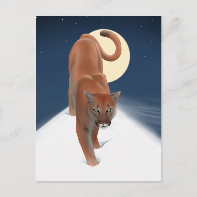 Big Cat In The Winter Snow - Mountain Lion Postcard (Front)