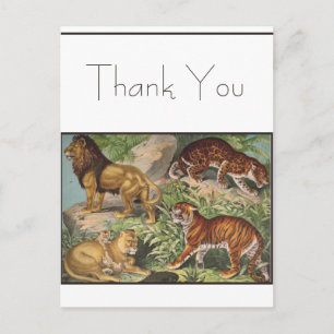 Big Cat Lions Tigers, Leopards, Animals Print Postcard