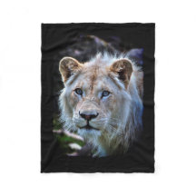 Big Cat Rare White Lion Wildlife Photo Portrait