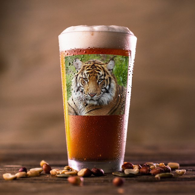 Big Cat Sumatran Tiger Glass (In Situ Beer)