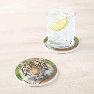 Big Cat Sumatran Tiger Photo Coaster