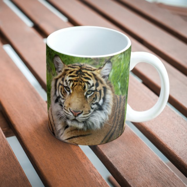 Big Cat Sumatran Tiger Photo Coffee Mug (In Situ Bench)