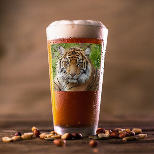 Big Cat Sumatran Tiger Photo Glass