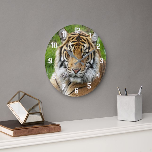 Big Cat Sumatran Tiger Photo Large Clock (Office)