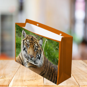 Big Cat Sumatran Tiger Photo Large Gift Bag