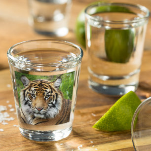 Big Cat Sumatran Tiger Photo Shot Glass