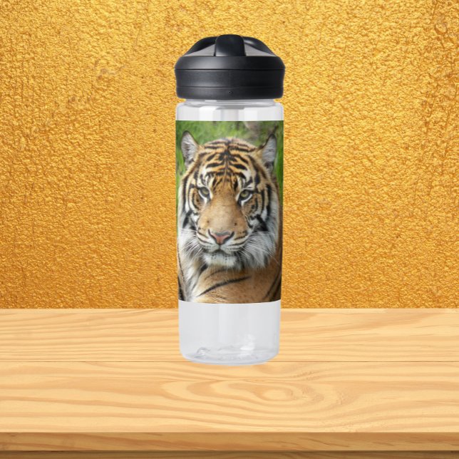 Big Cat Sumatran Tiger Photo Water Bottle (In Situ Table)