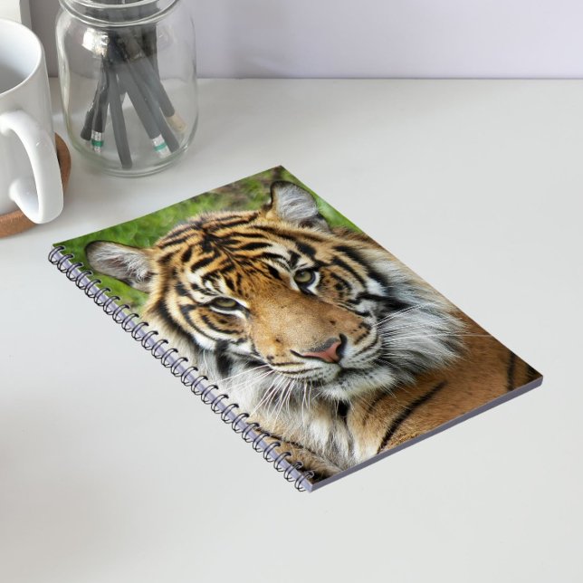 Big Cat Tiger Photo Notebook (In Situ)