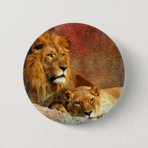 Big Cats - 6 Cm Round Badge