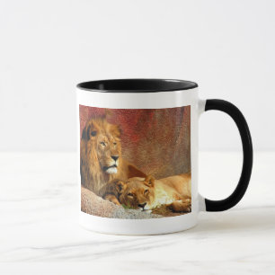 Big Cats - 6 Mug