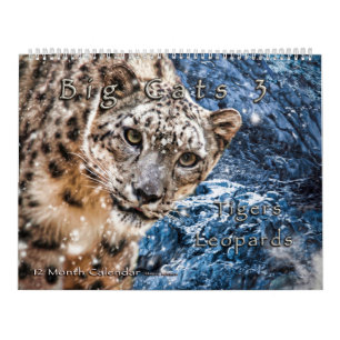 Big Cats Art Calendar Snow Leopard Jaguar Tigers