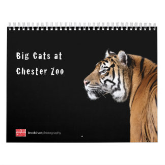 Big Cats at Chester Zoo Calendar