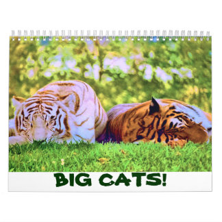 BIG CATS! Calendar