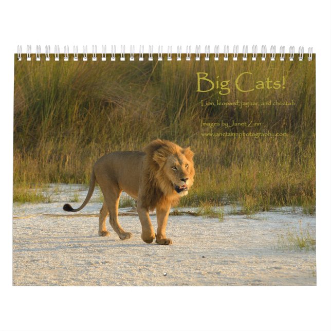 Big Cats! Lion, Leopard, Cheetah, Jaguar Calendar (Cover)