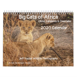Big Cats of Africa: Lions, Leopards 2020 Calendar