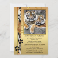 Big Cats Tiger Gold Post Wedding Invitation