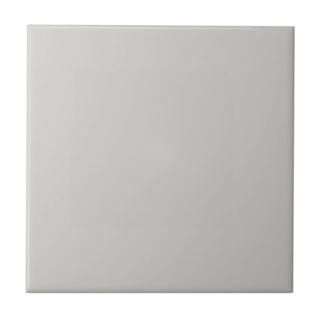 Big Chilling Grey Square Kitchen and Bathroom Ceramic Tile (Front)