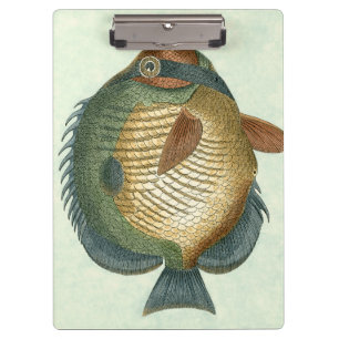 Big Colourful Fish Clipboard