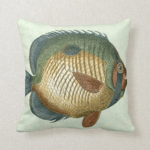 Big Colourful Fish Cushion