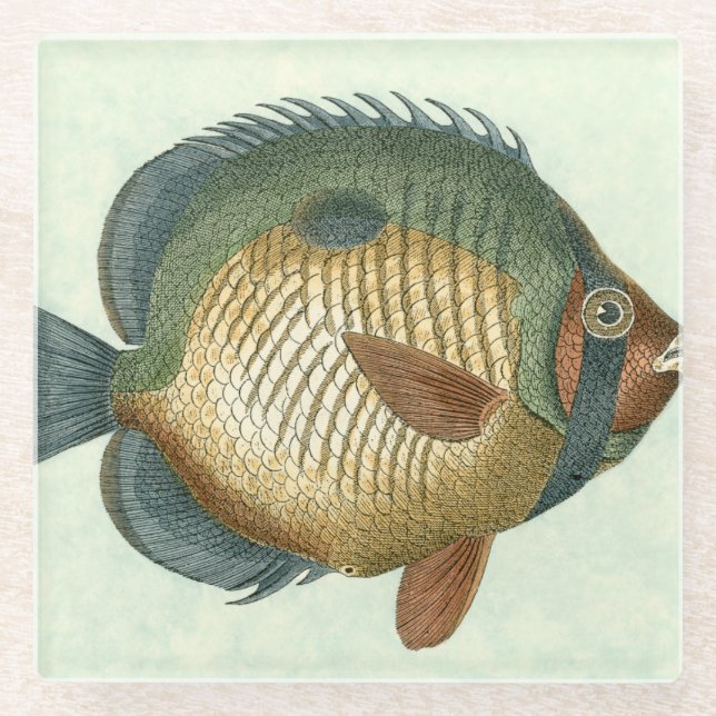 Big Colourful Fish Glass Coaster (Front)