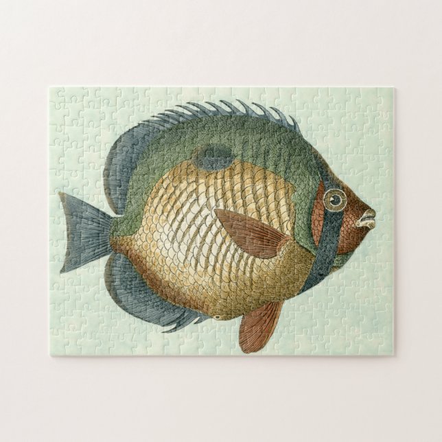 Big Colourful Fish Jigsaw Puzzle (Horizontal)