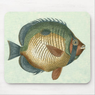 Big Colourful Fish Mouse Pad