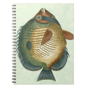 Big Colourful Fish Notebook